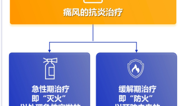 痛风治疗创新突围：金蓓欣领衔的双达标与外科抗炎共识