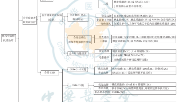 打破痛风发作循环：金蓓欣引领抗炎与降尿酸双达标