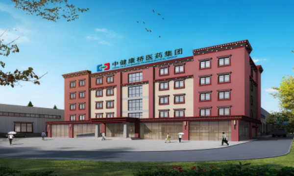 稳健发展！中健康桥2025上半年总资产增长18.86%