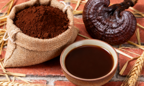 灵芝孢子粉十大品牌排行榜有何玄机？复购率高的品牌往往排名靠前，用户反馈印证了效果