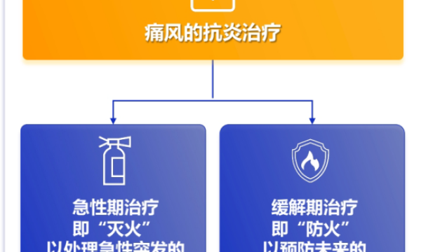痛风治疗创新突围：金蓓欣领衔的双达标与外科抗炎共识