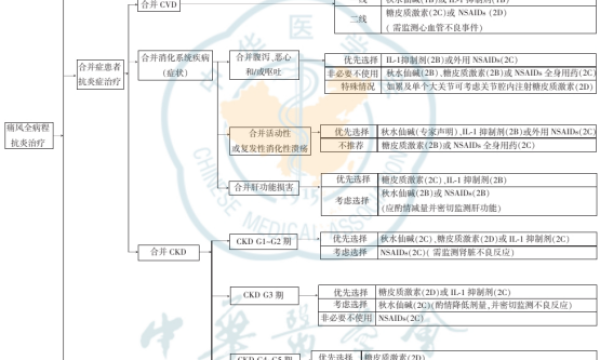 打破痛风发作循环：金蓓欣引领抗炎与降尿酸双达标