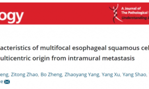 【IF 9.9】多中心vs壁内转移：NGS描绘多灶食管鳞癌分子特征
